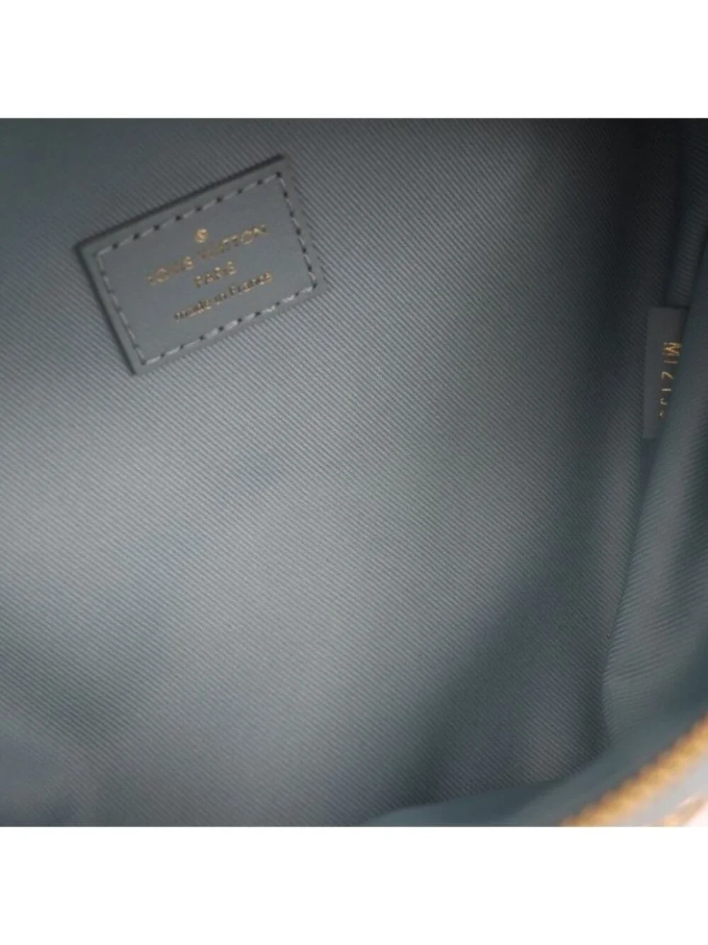 Louis Vuitton brand louis